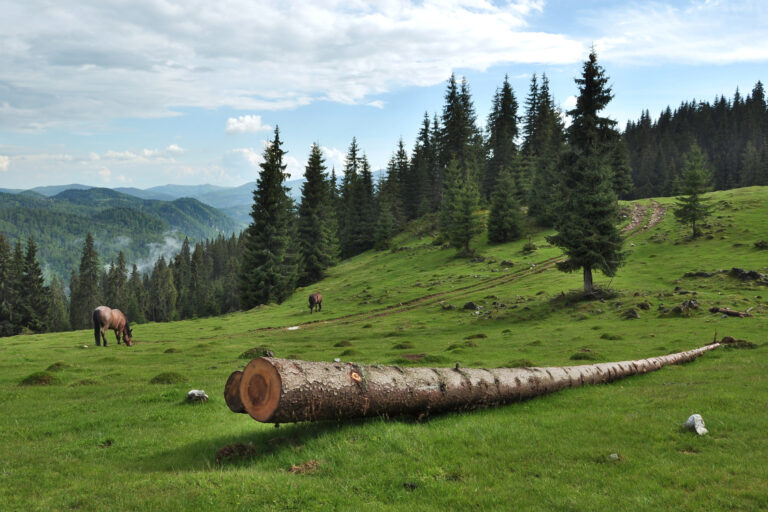 Rumunsko, Apuseni